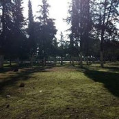 Melba Quilatan's photo