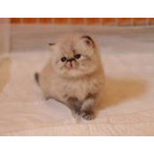 Sally Cattery's photo