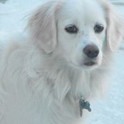 Debbie Merrill's photo