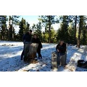 Marlene Bolin's photo