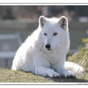 Edgar Al's photo