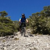 Joel Nichol's photo