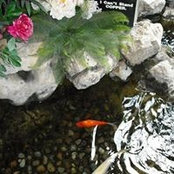 Phyllis Stagg Boland LeGrow's photo