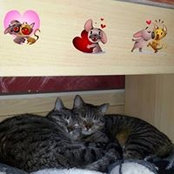 Foto de Rina Fleischer

