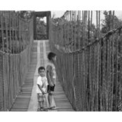 Norlam Serdna's photo