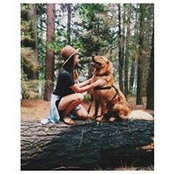 Sarah Windecker's photo