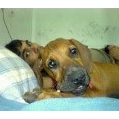 Avinash Naidu's photo