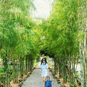 Peachy Vibal-Guioguio's photo