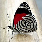 Mohram Khan's photo