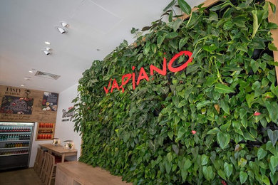 Vapiano's Living Wall
