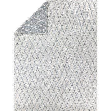 Giorgio Reversible Indoor/Outoor Flatwoven PET Yarn Gray/Ivory Area Rug