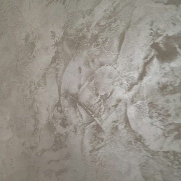 Textured Fresco & Lusterstone