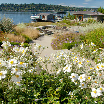 Re-Imagined Shoreline | 02