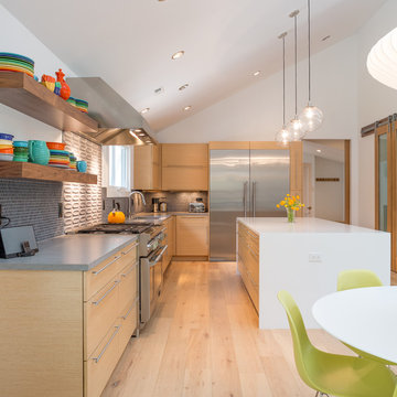 Ida Avenue Modern Farmhouse