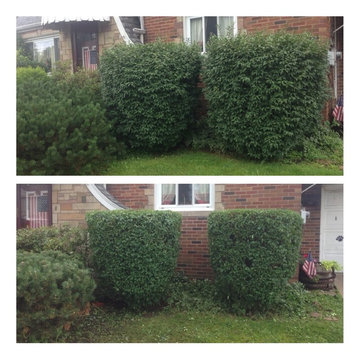 landscaping, shrub and hedge trimming