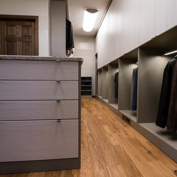 Sleek Contemporary Closet