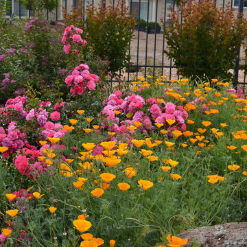 California Garden Chef Paradise