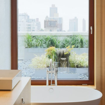 Park Avenue Penthouse New York City