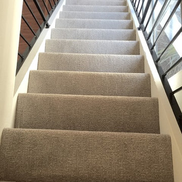 Royalty Carpet - Pet Protect