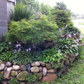 The experiment grounds, aka my side of the house...