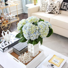 Coffee Table Set Up