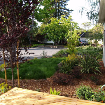 Menlo Park Modern