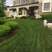 My yard