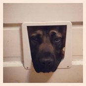 Russell Dinkler's photo