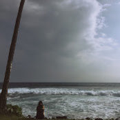 Jenny Yoo's photo