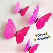 Lamiaa Fathi Rahim's photo