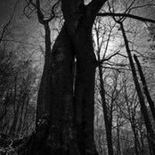 David Rasbold's photo