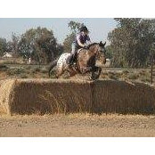Laura Thatcher's photo