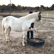 Tamara Songer's photo
