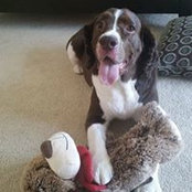 Sofia Aedo's photo