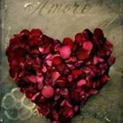 Denise Kouroupakis's photo