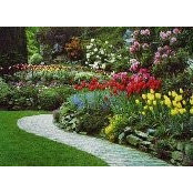 Foto de Le Jardin Mauricien

