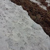Leslie Farrell's photo