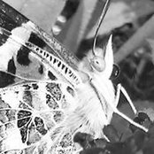 Jamie Ingham's photo