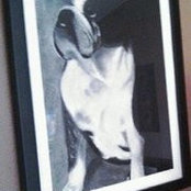 Becki Coopers foto