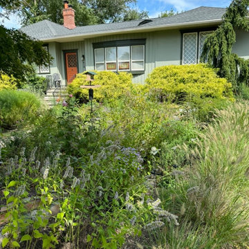 Water Management Habitat Rain Garden