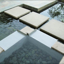 ponds