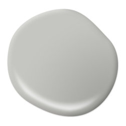 Titanium PPU24-16 - Paint