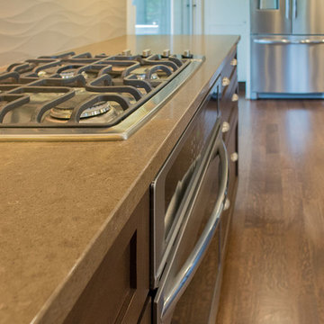 Transitional Sophisticated Kitchen