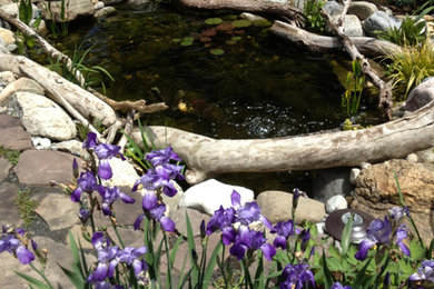 Inspiration for a mid-sized rustic backyard stone water fountain landscape in New York for spring.