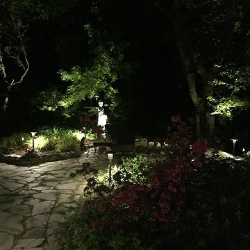 Path Lighting