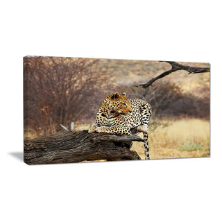 Modern Art- Leopard Print Canvas Art Print by 5by5collective