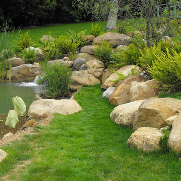 Santa Barbara Sandstone