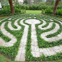 Labyrinth Garden