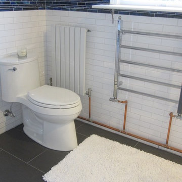 Master Bathroom Remodel