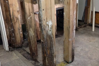 Commercial Renovation